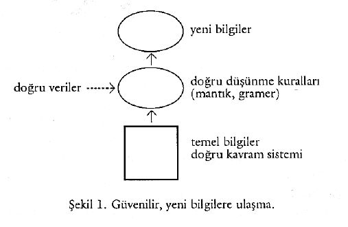 Şekil 1