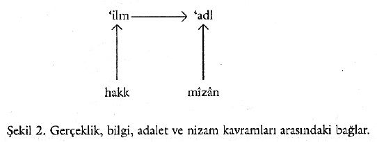 Şekil 1