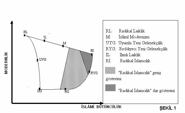 Şekil 1